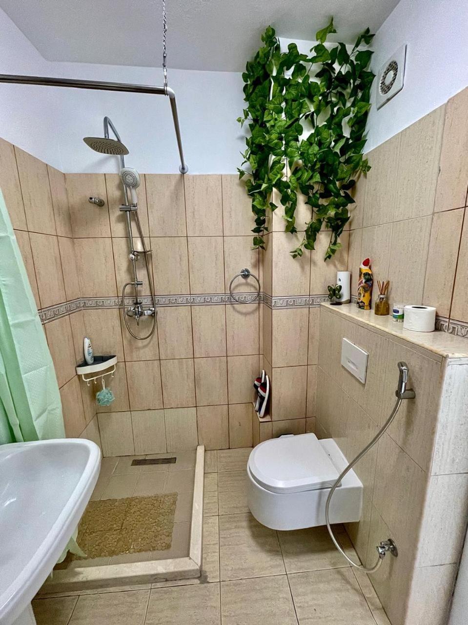 Flex Apartment ティラナ エクステリア 写真