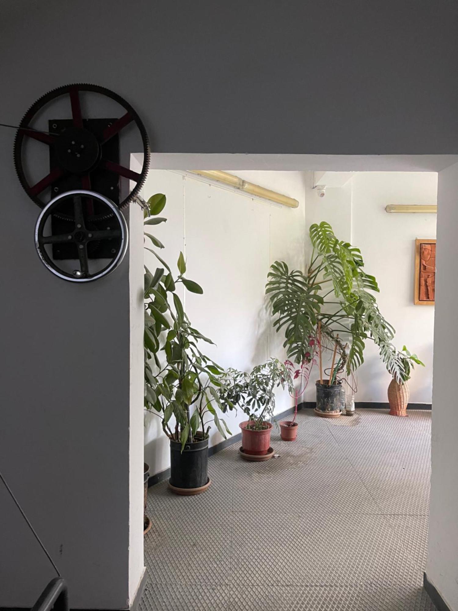 Flex Apartment ティラナ エクステリア 写真
